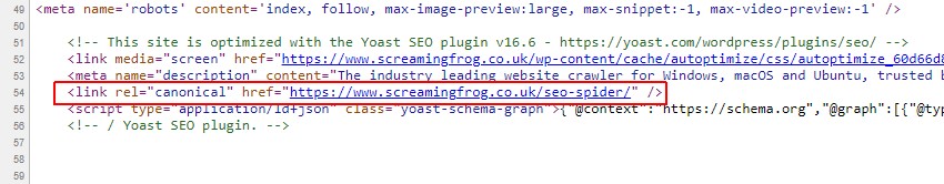 HTML source code showing a canonical link tag highlighted in the page head